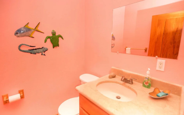 Turtle Casa 6