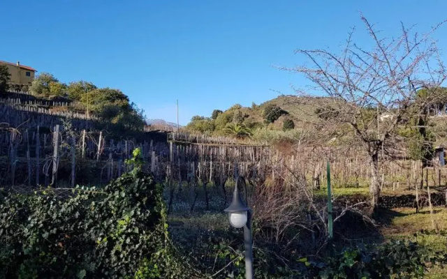 Appartamento Etna