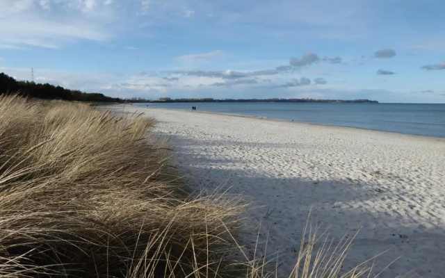 Strandhuhn