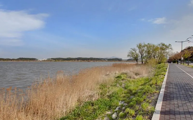 Gangneung Gyeongpo Sea Travel Pension (Riverview)
