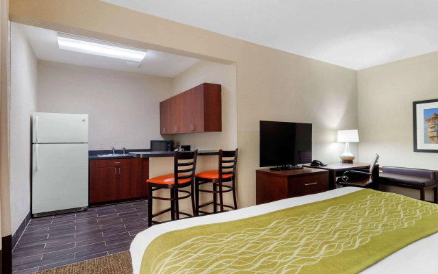 Comfort Inn & Suites Griffin North