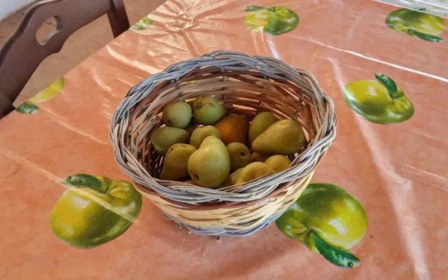 Agriturismo Conte