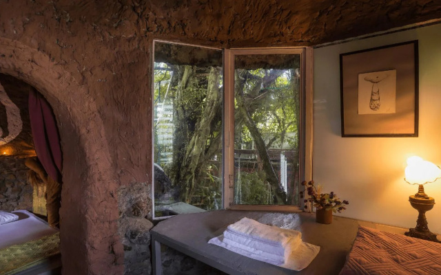 Dao Anh Khanh Treehouse
