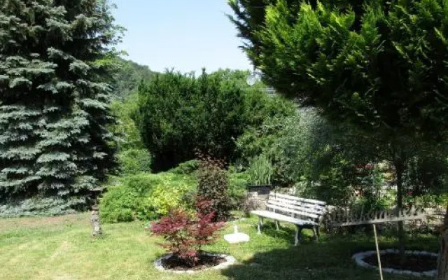 Waldblick
