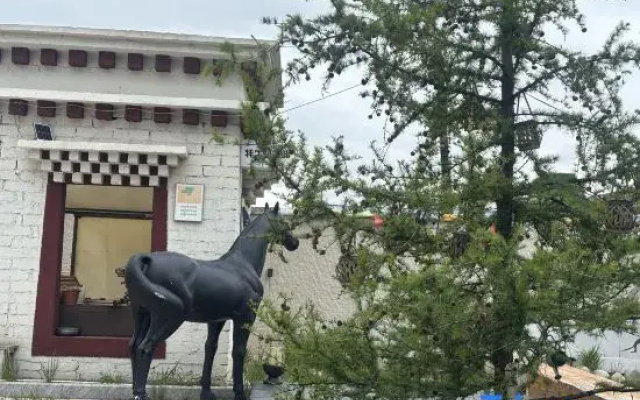 Hongyuan Qingfeng Yashe Homestay
