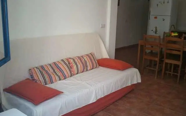 Tipuana