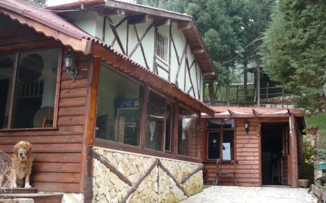 Forest Lodge
