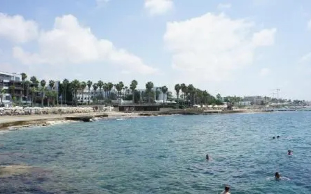 Limnaria Westpark 113