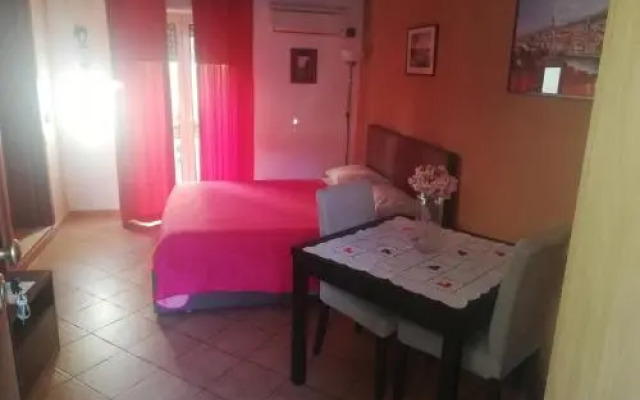 Studioverynice