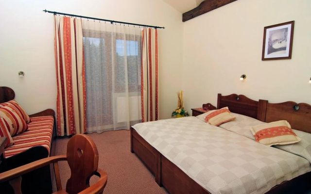 Ski & Wellness Residence Družba