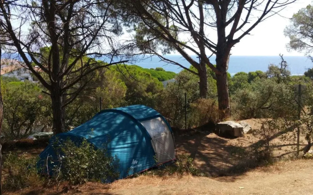 Camping Moby Dick