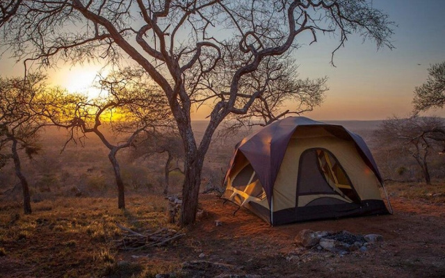 Cheetah Campsite Lumo