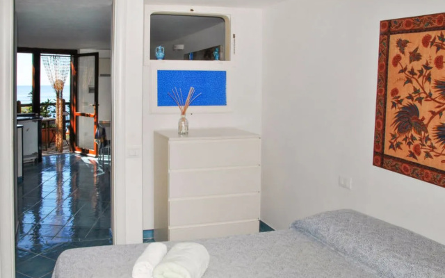 Apartment Molly Sperlonga