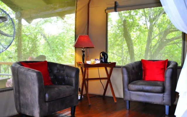 Lion Tree Top Lodge
