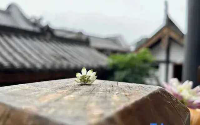 Leshan Meet Courtyard Hotel (Leshan Giant Buddha)