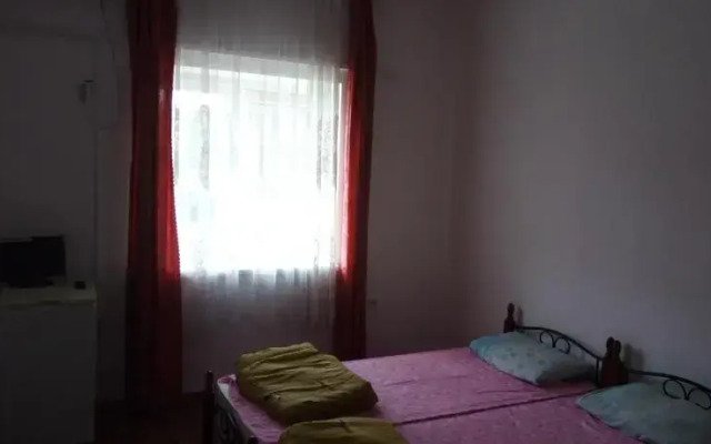 Дельфин