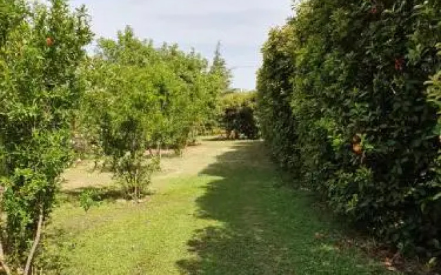Casapanetta