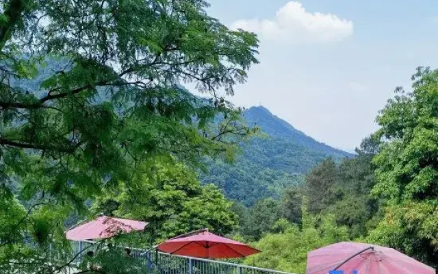 qingxigu