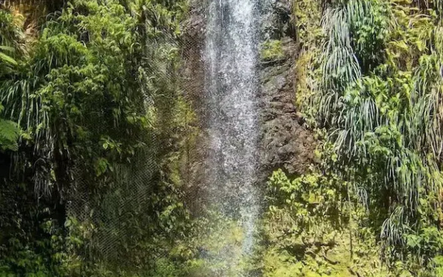 Torraille Waterfall Villas - Unit 1