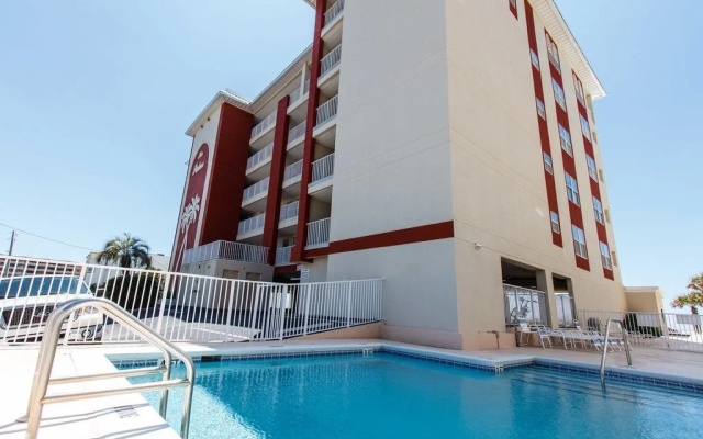 The Palms