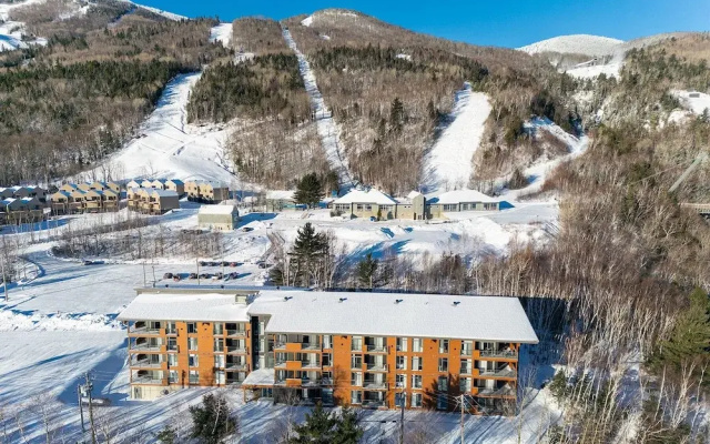 Les Caches de la Grande Pointe