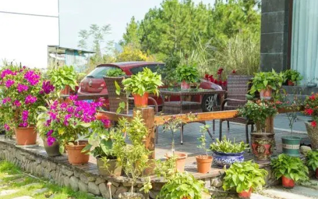 Xiangyuxuan Homestay in Xianju County