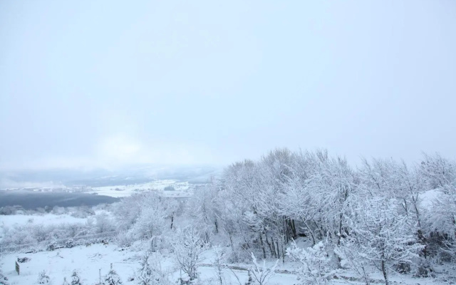 Bolu Yaban Yasam Chalets