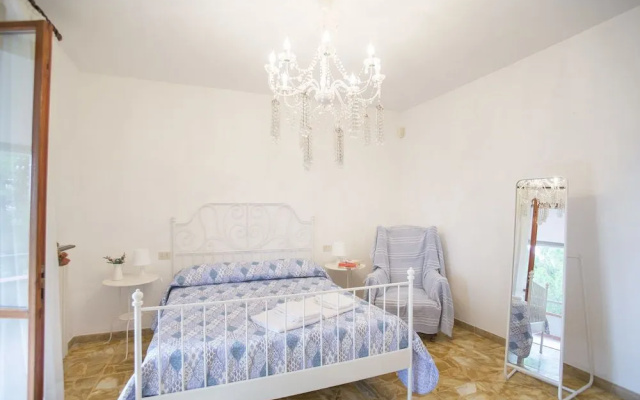 I Profumi Della Collina