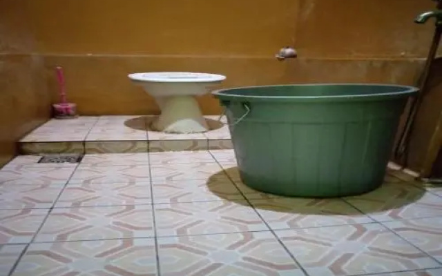 Jungle Tribe Guesthouse