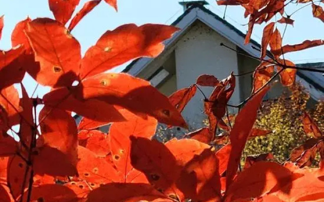 Yuya Homestay (Changbai Mountain bei Tourist Distribution Center)