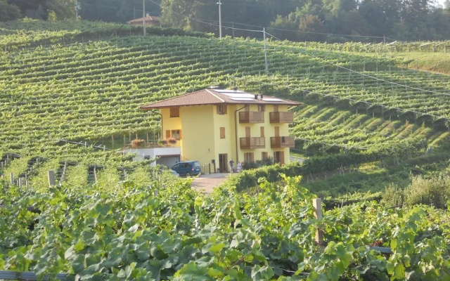 Agritur al Vigneto