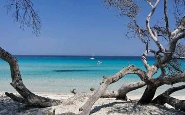 Coin Tranquille a 2km de Saint-Florent