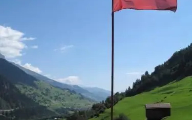 Pign Padua