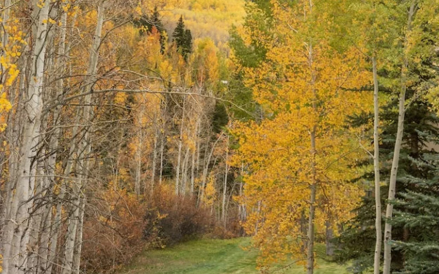 Two Creeks by Snowmass Vacations