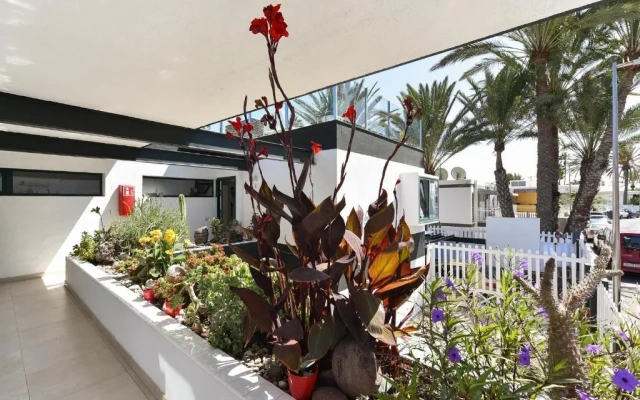 Maspalomas Beach Apartment Charca 1