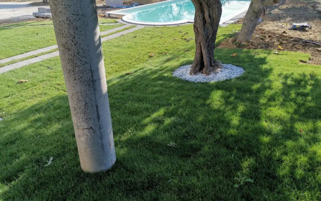 Villa Felicia