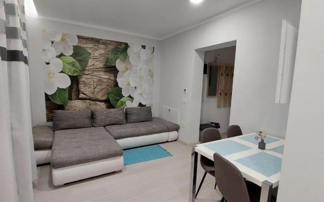 Blue Central House, curte proprie