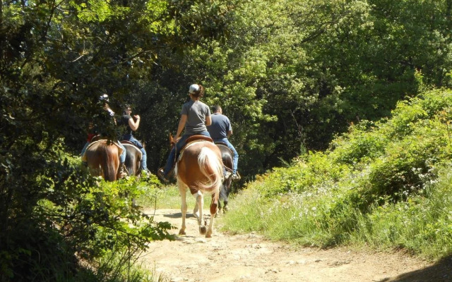 Casa Vacanze La Baghera Alta