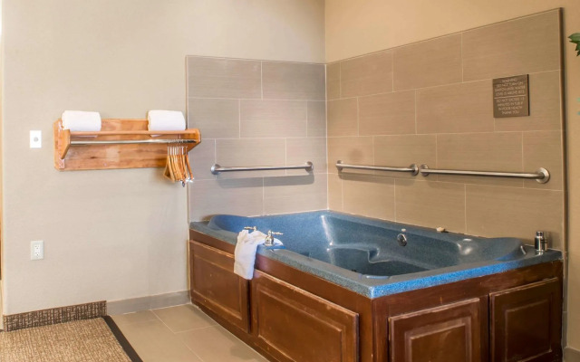Comfort Inn Edinburg
