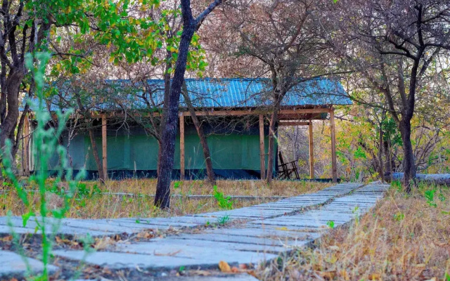 Daga Camp