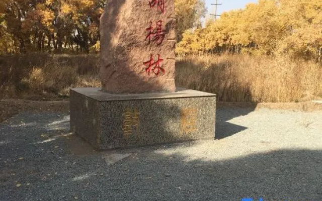 YuanMeng