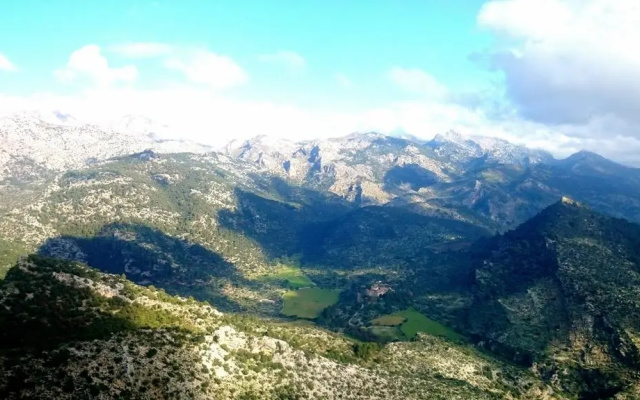 Seguí