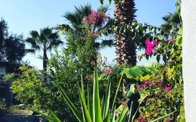 Urla Bella