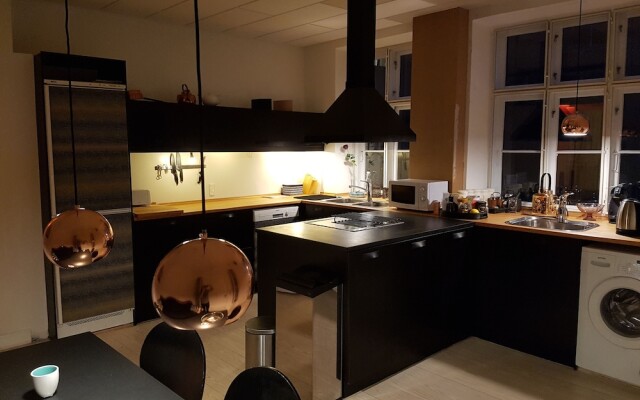 Апартаменты Classic Copenhagen City Apartment Копенгаген в номере