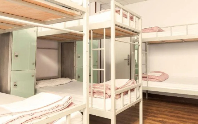 Cat's Hostel