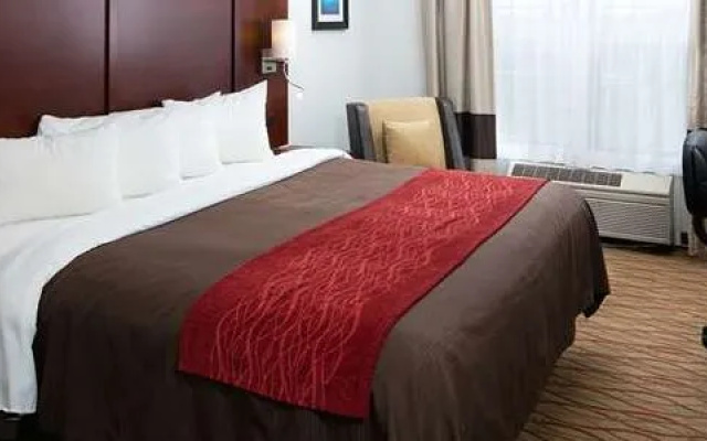 Comfort Inn Central Auburn