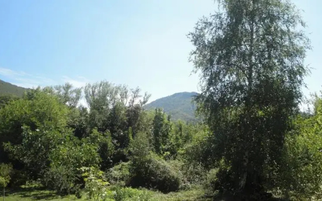Chalet LEscalette