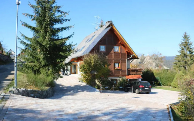 Ferienwohnung Seeblick Nr 3, 2 Zi-Bärental, Feldberg