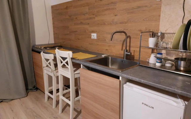 Piata Victoriei Sanador Studio Apartment