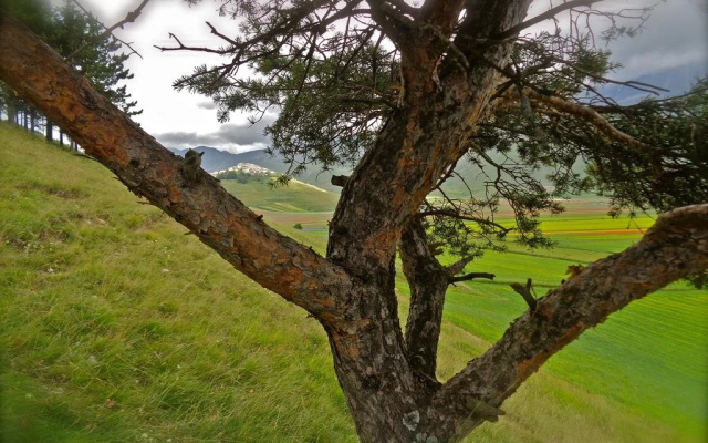 Agriturismo La Valle Delle Aquile